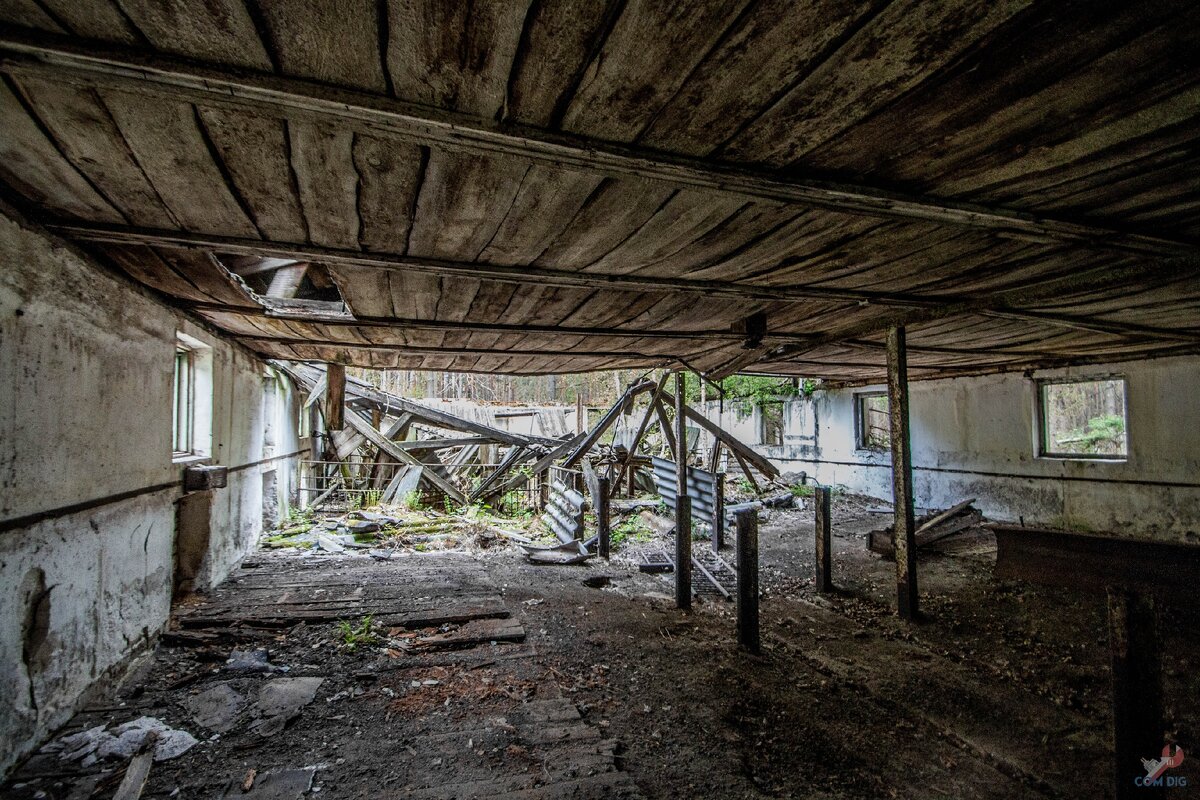 Ночевка в заброшенном свинарнике в Чернобыльской зоне отчуждения. Делюсь впечатлениями