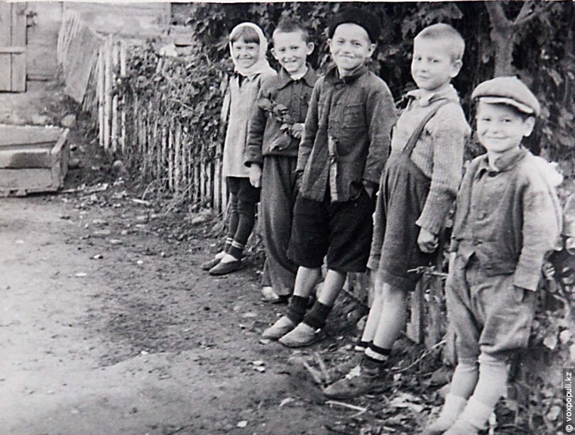 Фотография взята из Яндекса