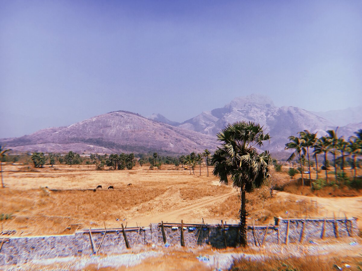 Штат Керала, Индия. 