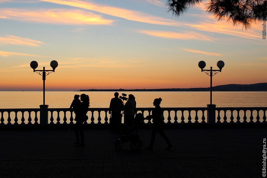 В сумерках