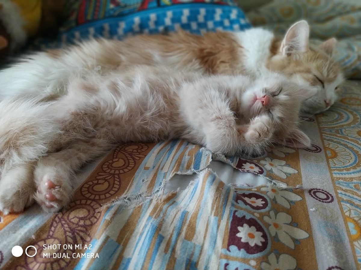 Вот так мы росли. 