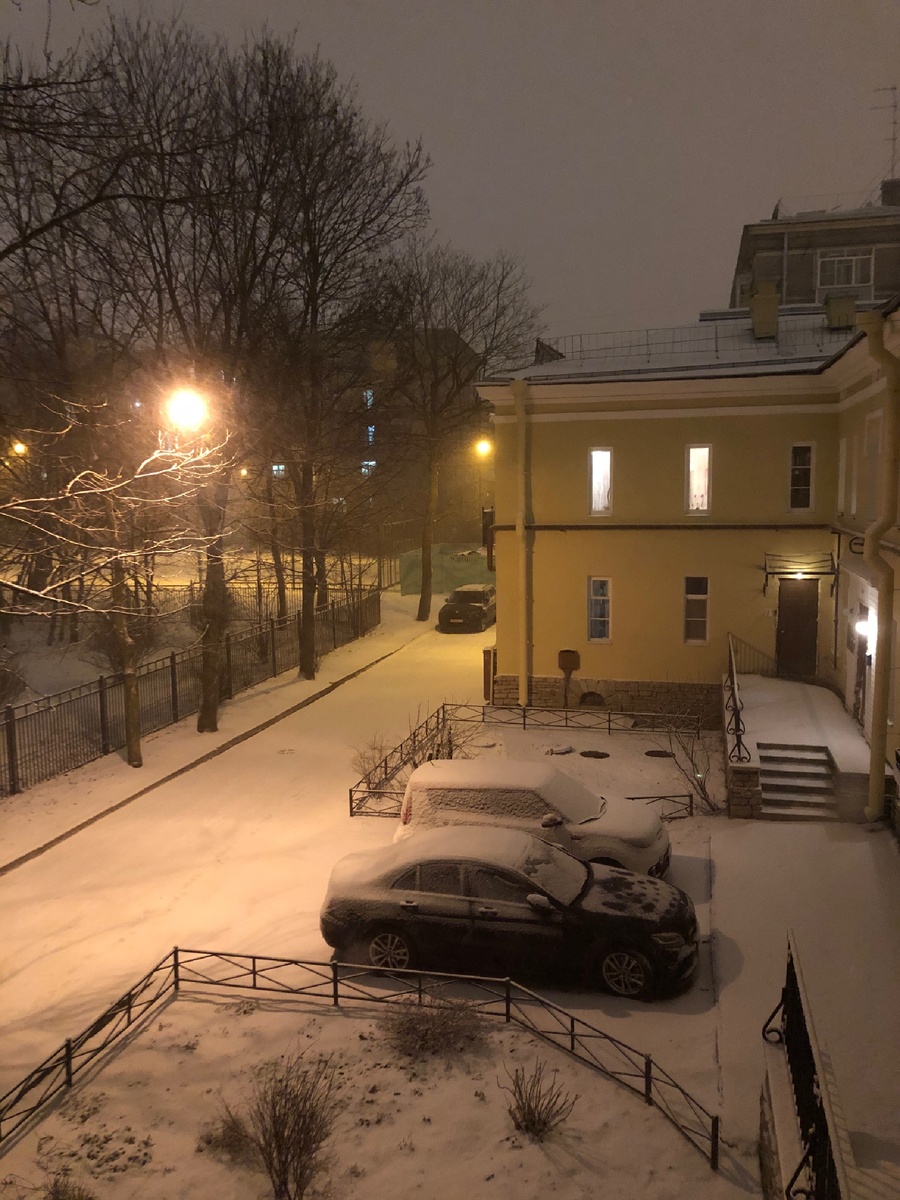 Пушистый вечер