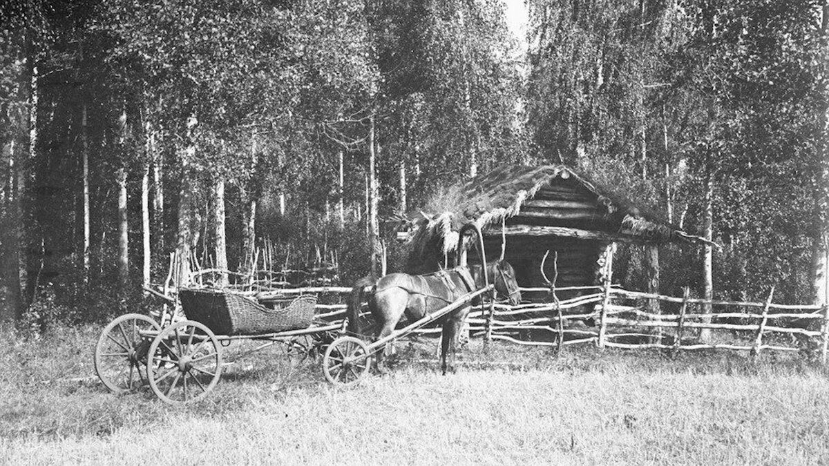 и две пары лошадей запряжённые в упряж, но их обозы отсутствовали. Людей по близости не обнаружено.     В обозах было найдено -   Серебряная утварь (посуда,одежда,серебр подсвечники ). Один обоз с резной мебелью и музыкальными инструментами. Самый из интересных обозов был заполнен старинными доспехами ,саблями и др. старинным оружием.  Владельцев так и не нашли.