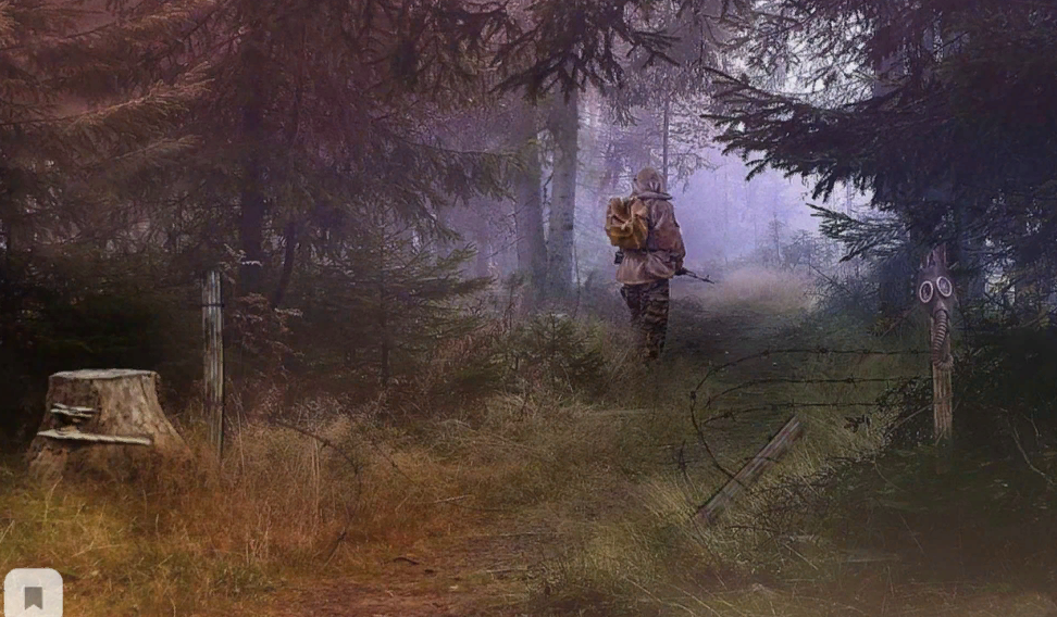 Сталкер на тропе