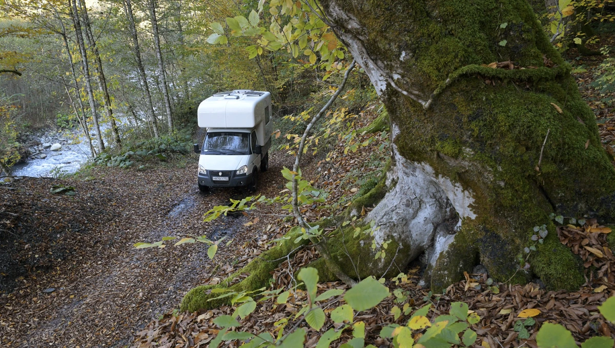 Западный Кавказ - единственное место в России, где золотая осень наступает в ноябре. Я провел осение дни в районе Красной Поляны, в Кавказском биосферном заповеднике и в Сочинском национальном парке. Лесные экосистемы российского Кавказа могут похвастаться самым высоким уровнем биоразнообразия в России (а также в Европе). У меня несколько дней увлекательной работы - фотографирование первобытных лесов Кавказа ...
