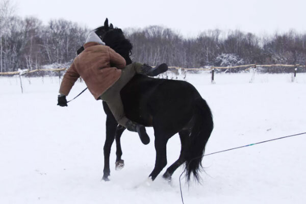 Источник фото сервис Яндекс.Картинки