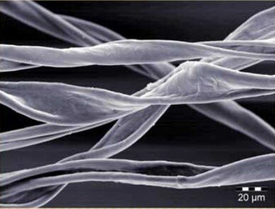 Волокно хлопка под микроскопом