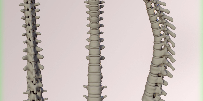 картинка с Pixbay.com