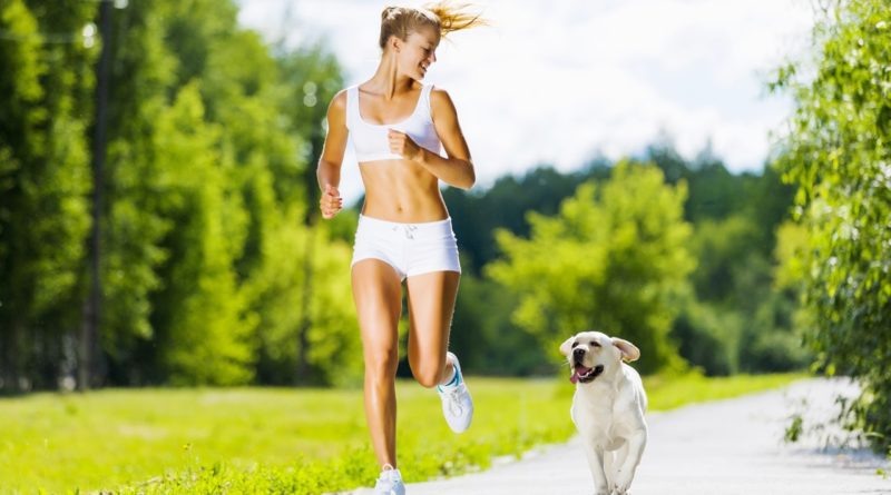 Собака-догоняка... Мемчик про собаку... Насколько же быстро мы стареем...