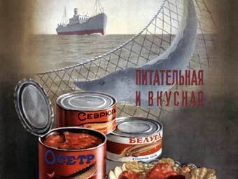 Фото из открытых источников интернета.