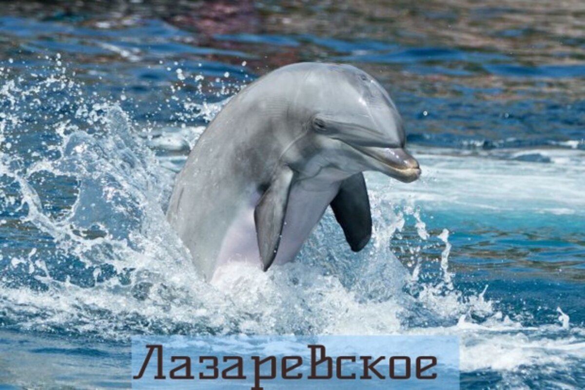 Подбор комфортного жилья по ссылки