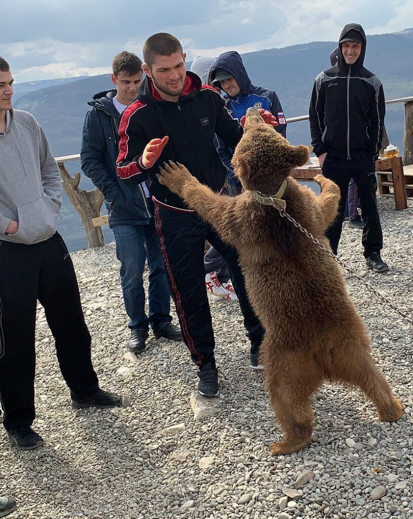 Хабиб отрабатывает ударку с медведем, подставляя ему ладони под удары