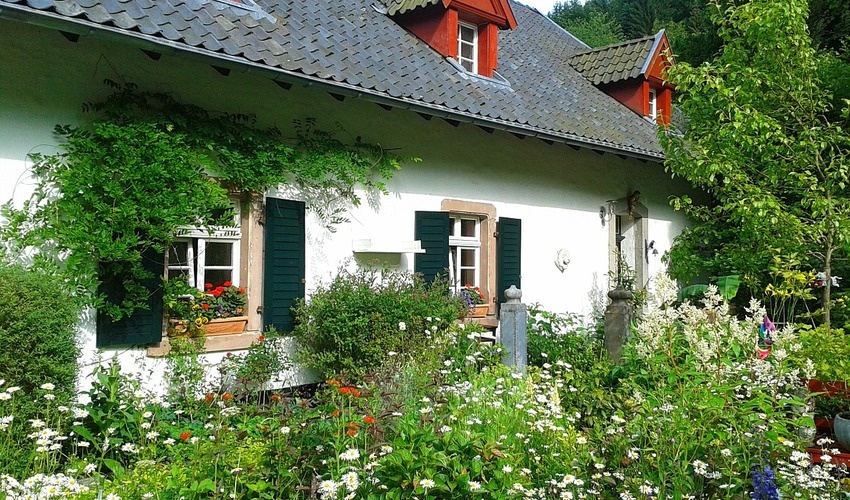 Фото: pixabay.com