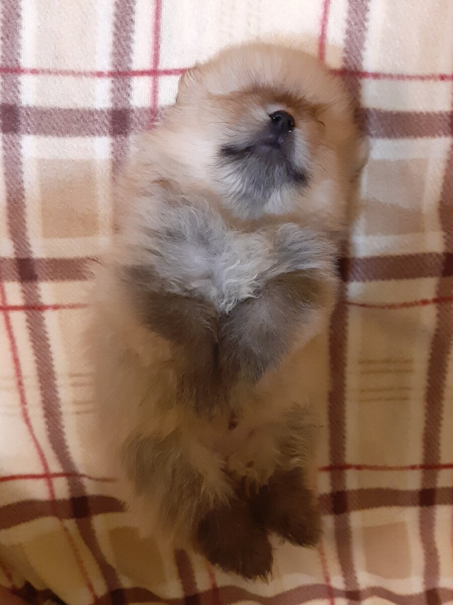 фото из личного архива.