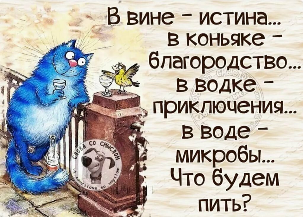 Фото из открытых источников.