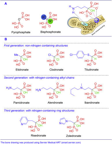  2. А: молекулярная структура пирофосфата и БП. Схематическое представление связывания БП с минеральным матриксом кости. B: химические структуры BPs разделенные в 3 поколения.