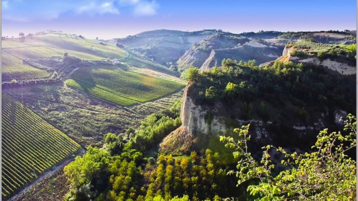 Великолепный пейзаж Итальянских виноградников