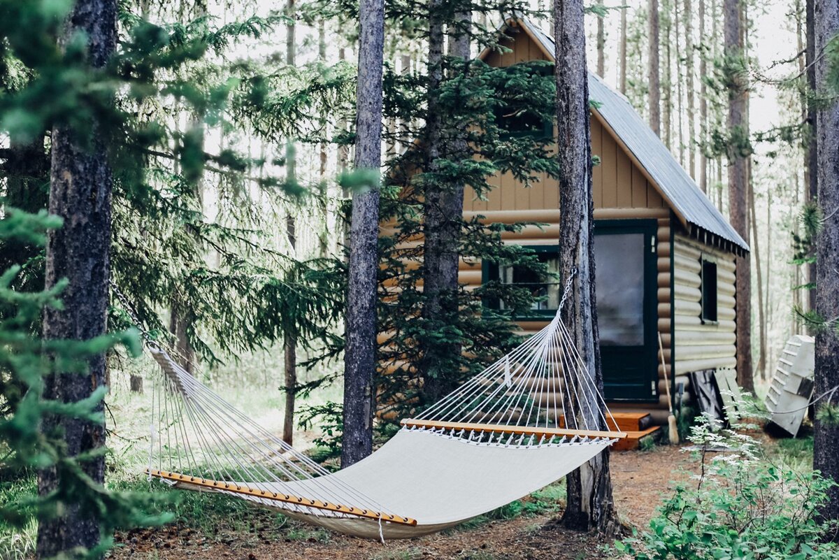 Cara Fuller / Unsplash