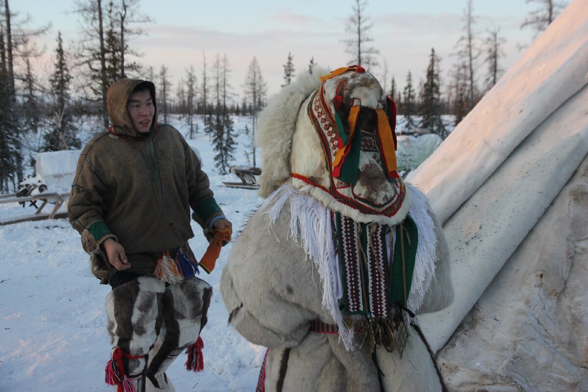 Северная экспедиция на Ямал команды ArcticTrophy | Александр Люкшин | Дзен