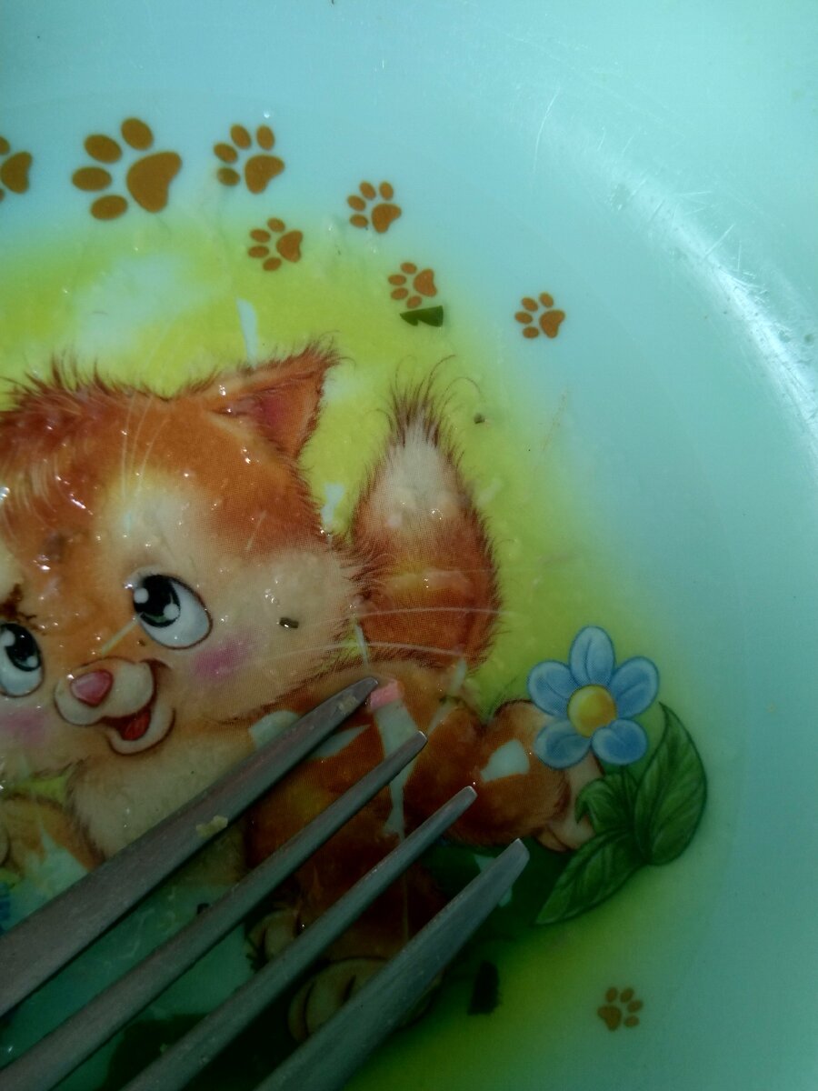 Наша тарелка через полгода использования.