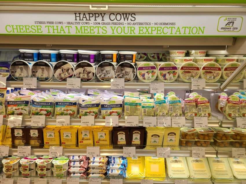 14 июня в Токио в торговой сети Nissin World Delicatessen открылся первый стенд белорусской молочной продукции, на котором представлены товары отечественных экспортеров: ОАО «Савушкин продукт» и ОАО
