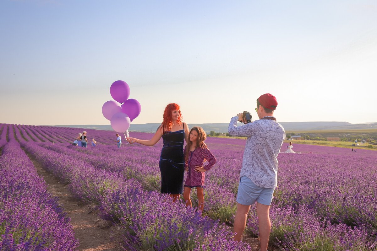 Лавандовые поля в крыму когда цветут фото