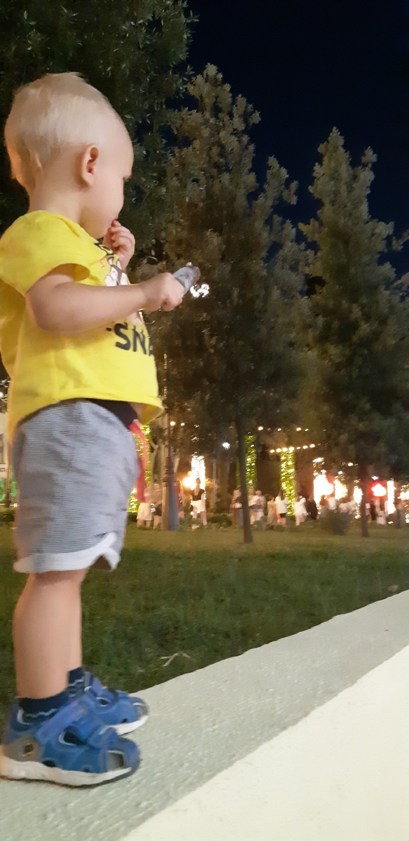 Сын николая шахматного