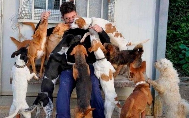 Фото для иллюстрации, источник: Яндекс.картинки