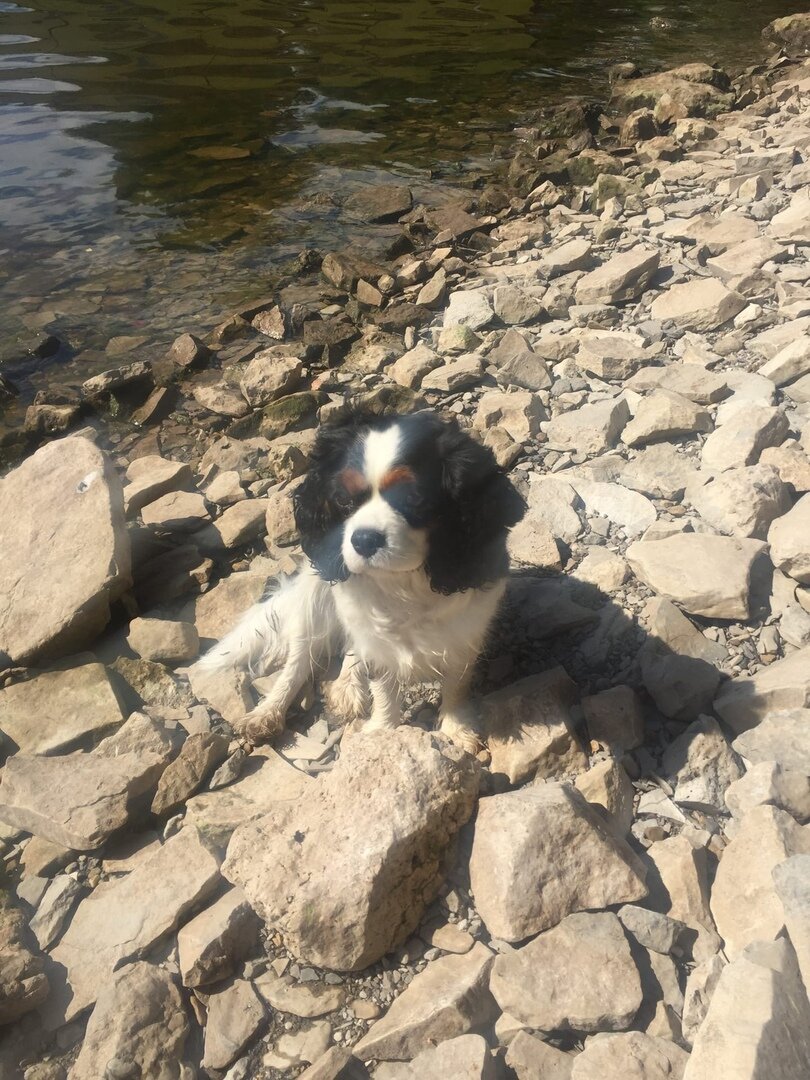 Линда тоже думает: плавать- не плавать...