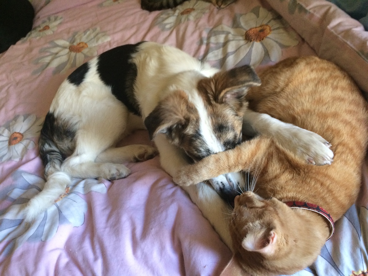 Я еще молодой, Скарлетт еще маленькая