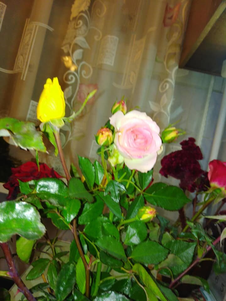  Фото авторское.