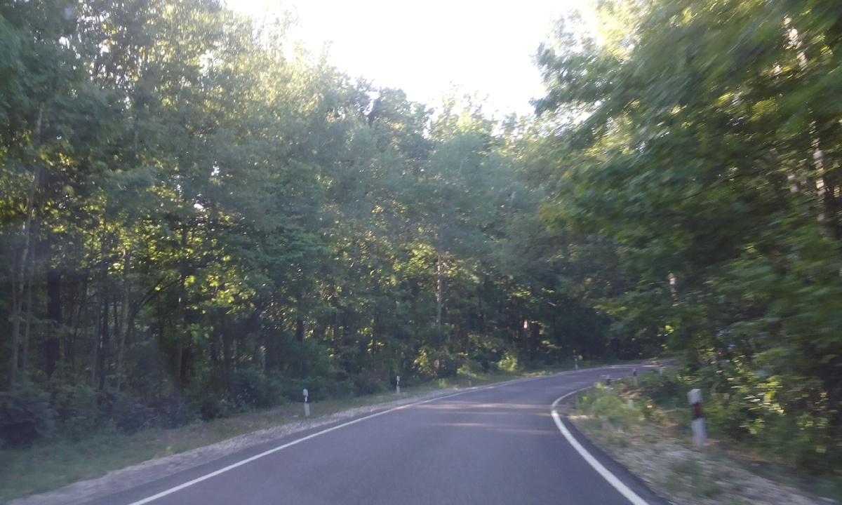 Путь в х.Шакин