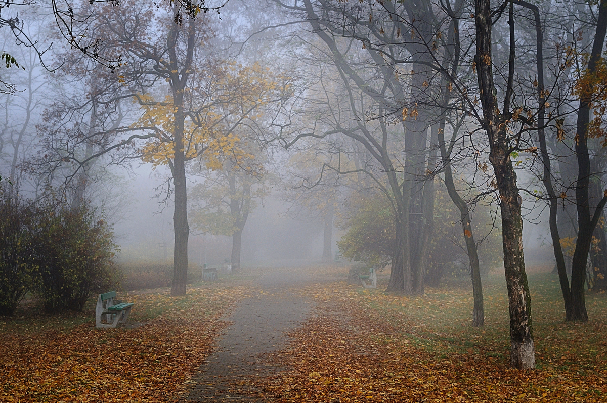 Фото: goodfon.ru