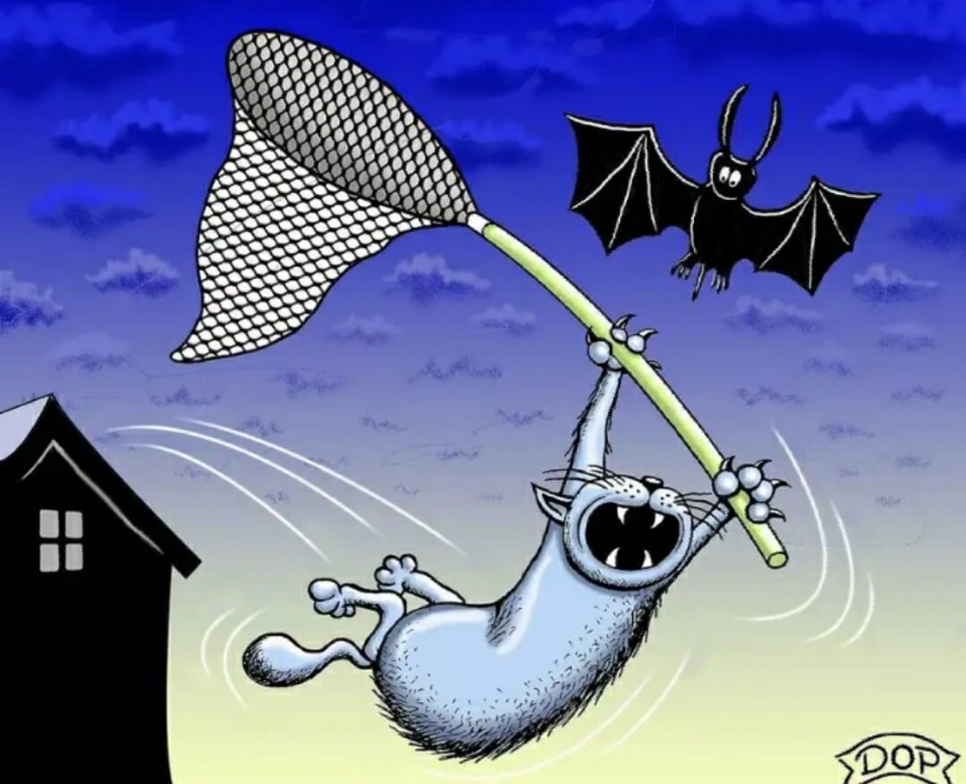Летучая мышь карикатура