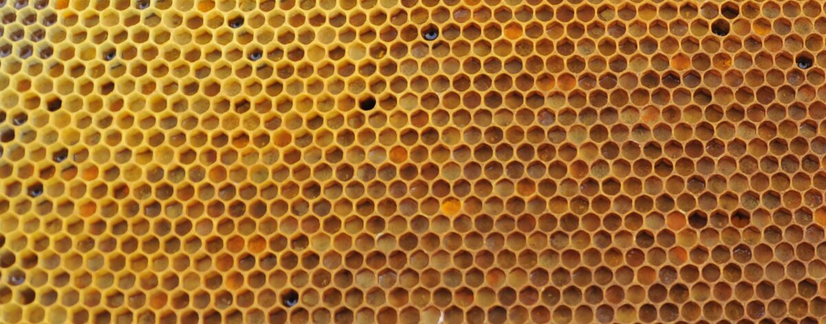 Вот он же в увеличенном виде.