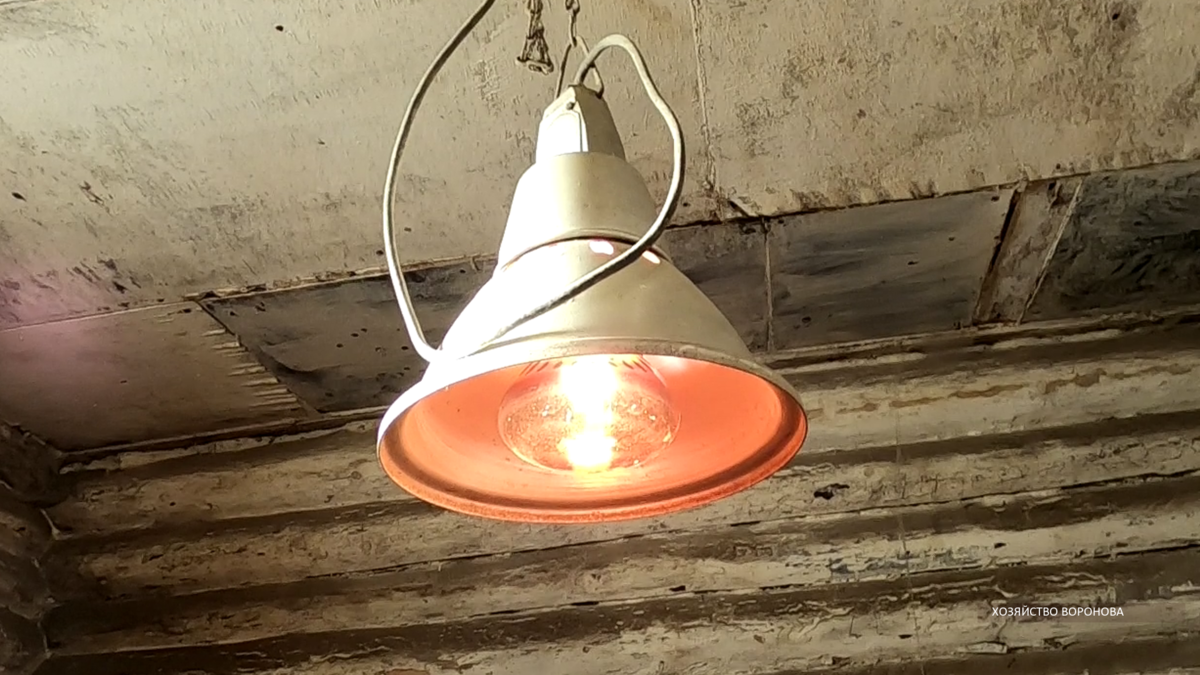 Тепловая лампа на 250 вт