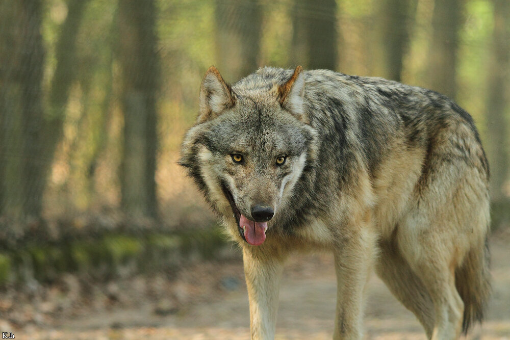 Фото из открытых источников.