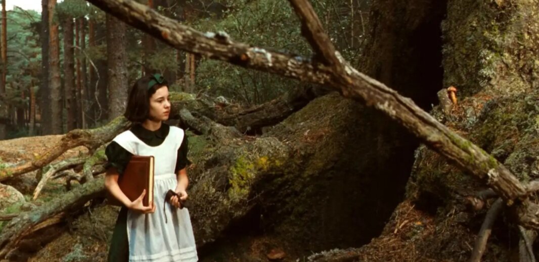 Кадр из фильма "Лабиринт Фавна"