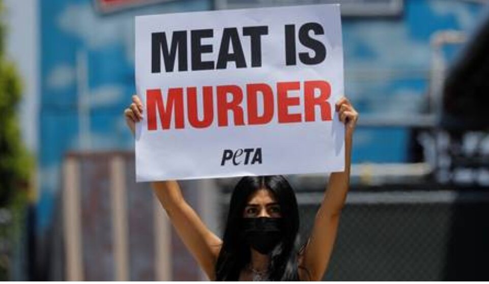 Группа по защите прав животных PETA, известная своими рекламными трюками с шоковой тактикой, подразумевает, что все невеганы имеют в себе что-то кланиш, объявляя мясоедов «сторонниками превосходства человека».  Это определенно привлекло внимание. «Употребление животных в пищу - это разновидность», - говорится в заявлении организации People for the Ethical Treatment of Animals (PETA) в своем аккаунте в Twitter в среду, добавив, что «видообразование - это расистское убеждение в том, что один вид важнее другого».  Если правозащитная организация в США была рассчитана на некоторый ажиотаж, то заявление определенно сработало.  Имя РЕТА вскоре стало популярным в Твиттере, так как десятки людей поспешили назвать себя спесиологами и поделились изображениями, демонстрирующими их любимый способ поедания мяса животных. Некоторые ответы, столь же насмешливые по своей природе, были менее резкими.  Один из комментаторов задался вопросом, не делает ли их вера в то, что все виды - надеюсь, за исключением их собственного - равны на тарелке, не спесистами.  Другой спросил, дает ли им свободу действий ненависть к людям. На одном плакате отмечалось, что гастрономия - не единственная причина, по которой можно желать зла другим живым существам.  Однако по какой-то причине PETA не борется за выживание клопов. Интересно, что реакция на очевидную приманку для расизма почти - но не полностью - отсутствовала в ответах на исходный пост PETA. PETA печально известна тем, что вызывает споры и, таким образом, привлекает внимание к своей причине.  В июле прошлого года он опубликовал фотографию рассеченной кошачьей головы, сравнив изображение с популярным в то время мемом «реалистичный торт».  В 2019 году он раскритиковал всеми любимого австралийского эколога и телеведущего Стива Ирвина, заявив, среди прочего, что его смерть в 2006 году произошла из-за того, что он «преследовал луч».  Ирвин умер после того, как шип ската пронзил его сердце. 