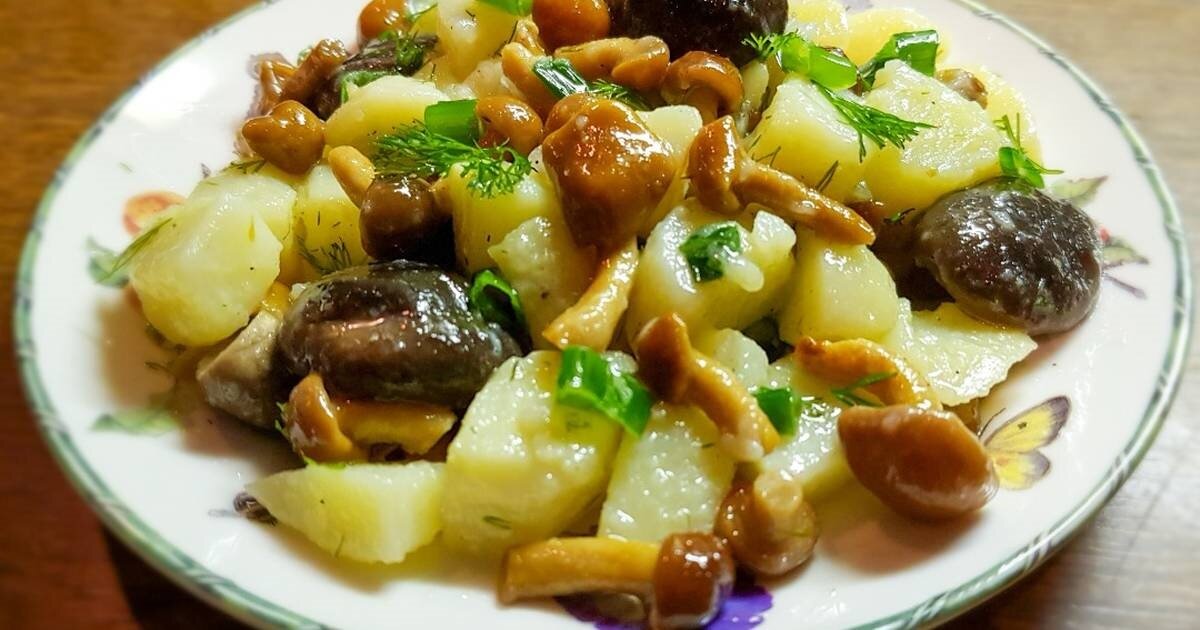 Картошка с грибами рисунок