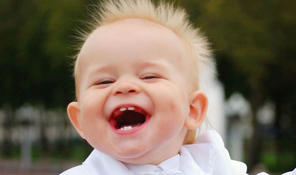 Фото из свободных источников интернета.