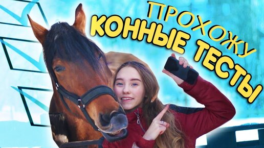 Лошадь Моей Мечты - Прохожу конные тесты!