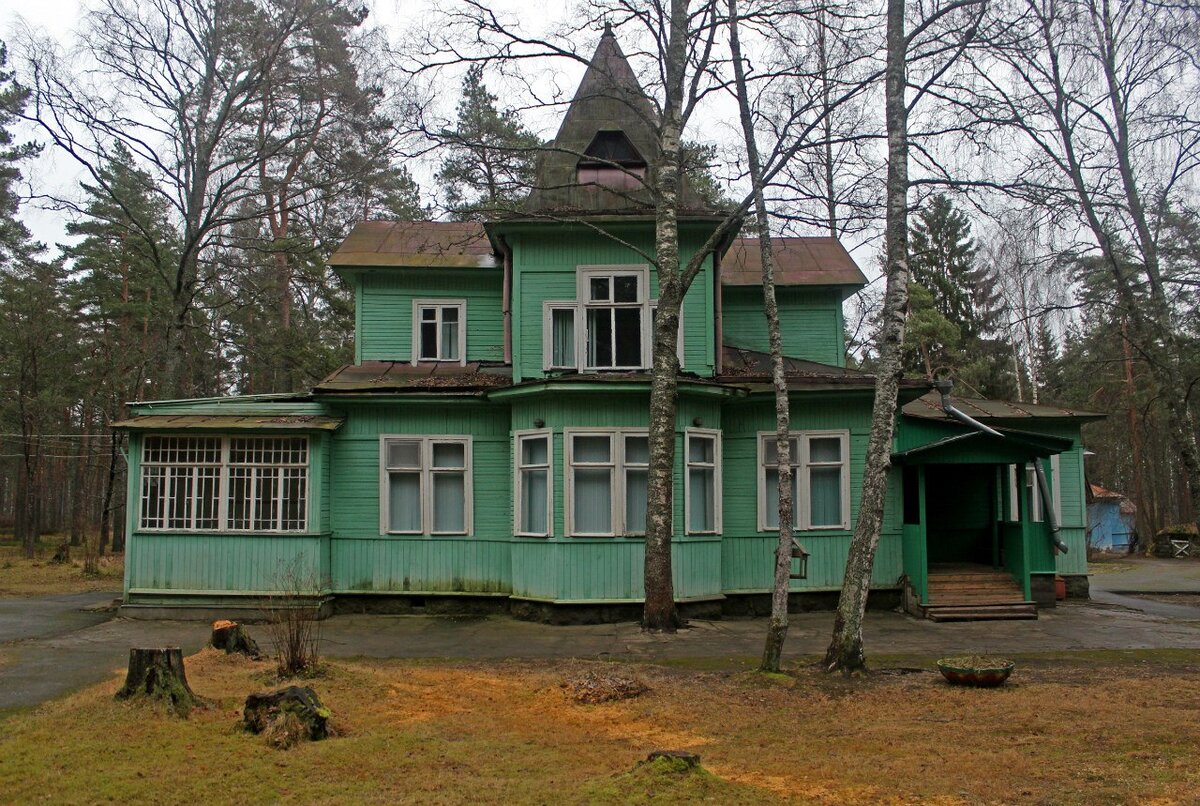 Интересные адреса в пос. Ушково (Курортный район СПБ). Эти места богаты на  шедевры дачной архитектуры! Я обошёл их все! | Олег Еверзов | Дзен