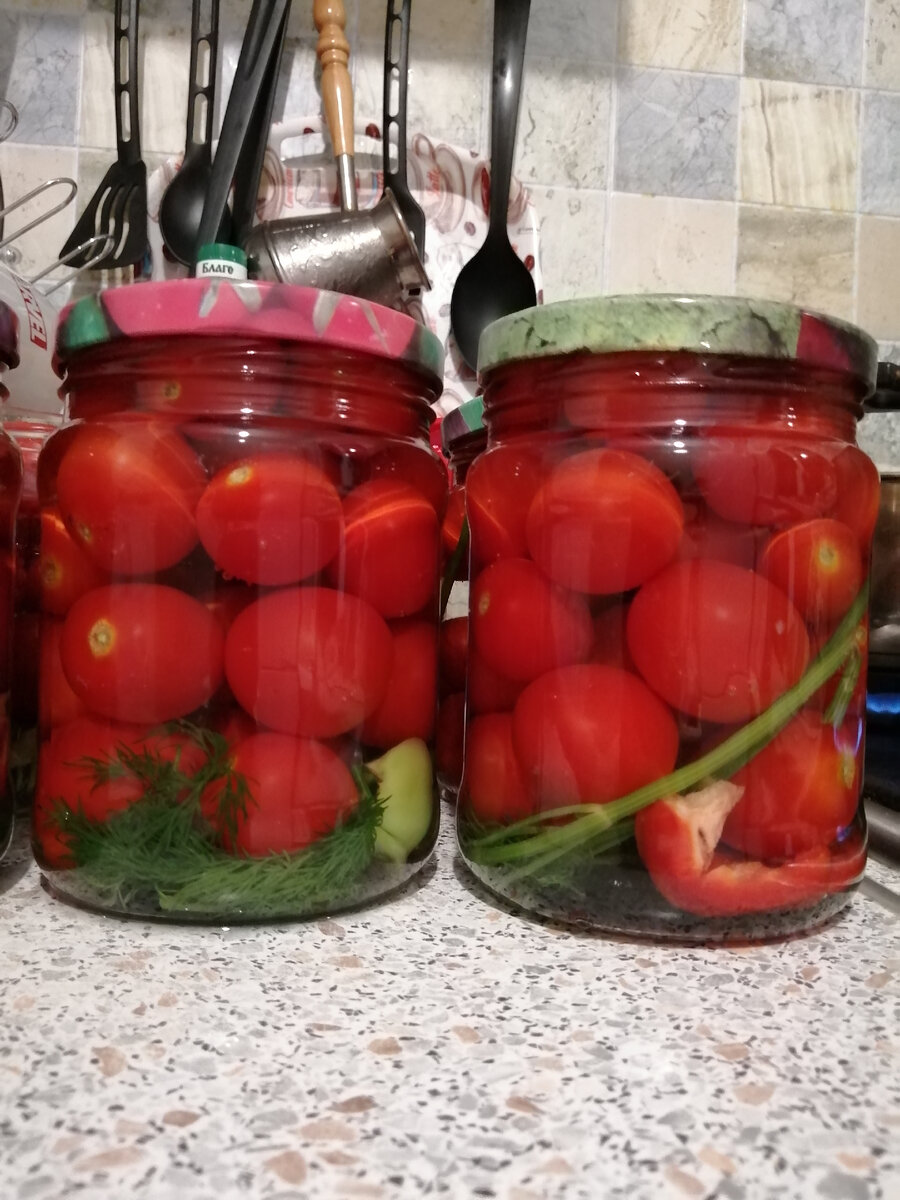 Вот такие у меня получились помидоры в этом году