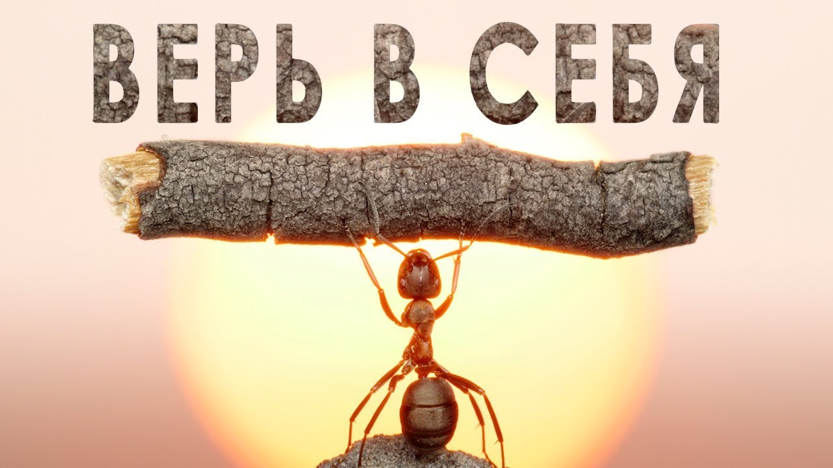 Изображение взято из открытых источников информации.