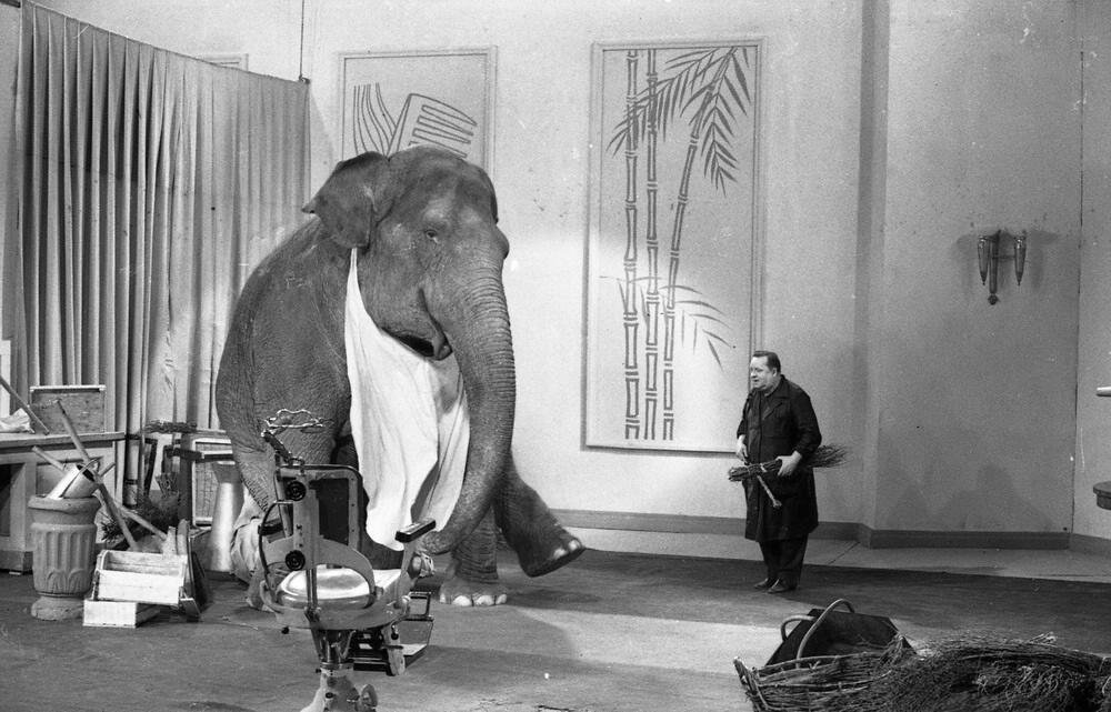 Владимир Григорьевич Дуров работает со слоном. Фото из интернета. 