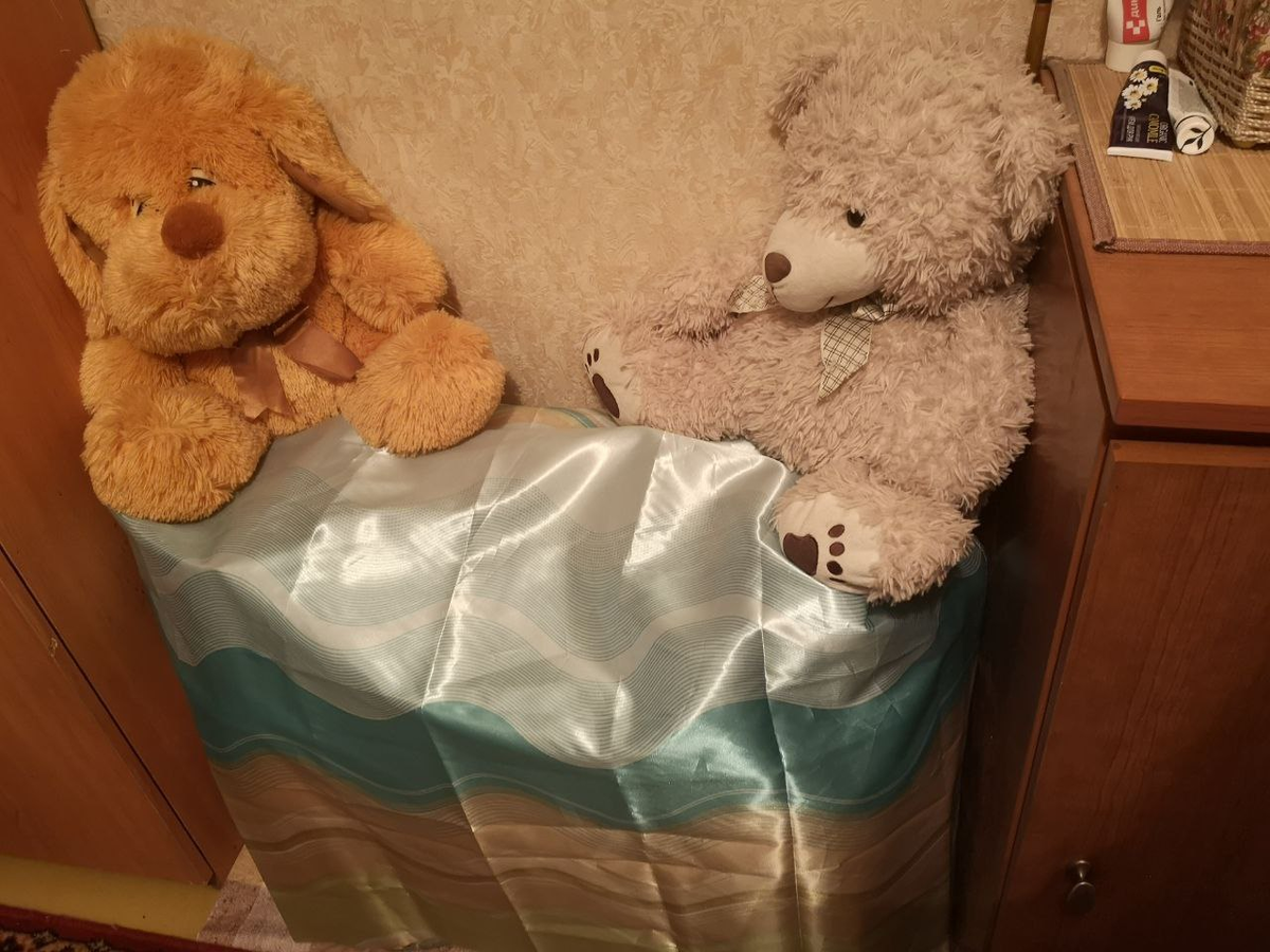 Под шторкой - бутыли с еще не готовым содержимым. А сверху - суровые охранники))