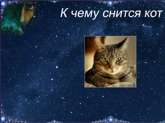 Дом черных котов