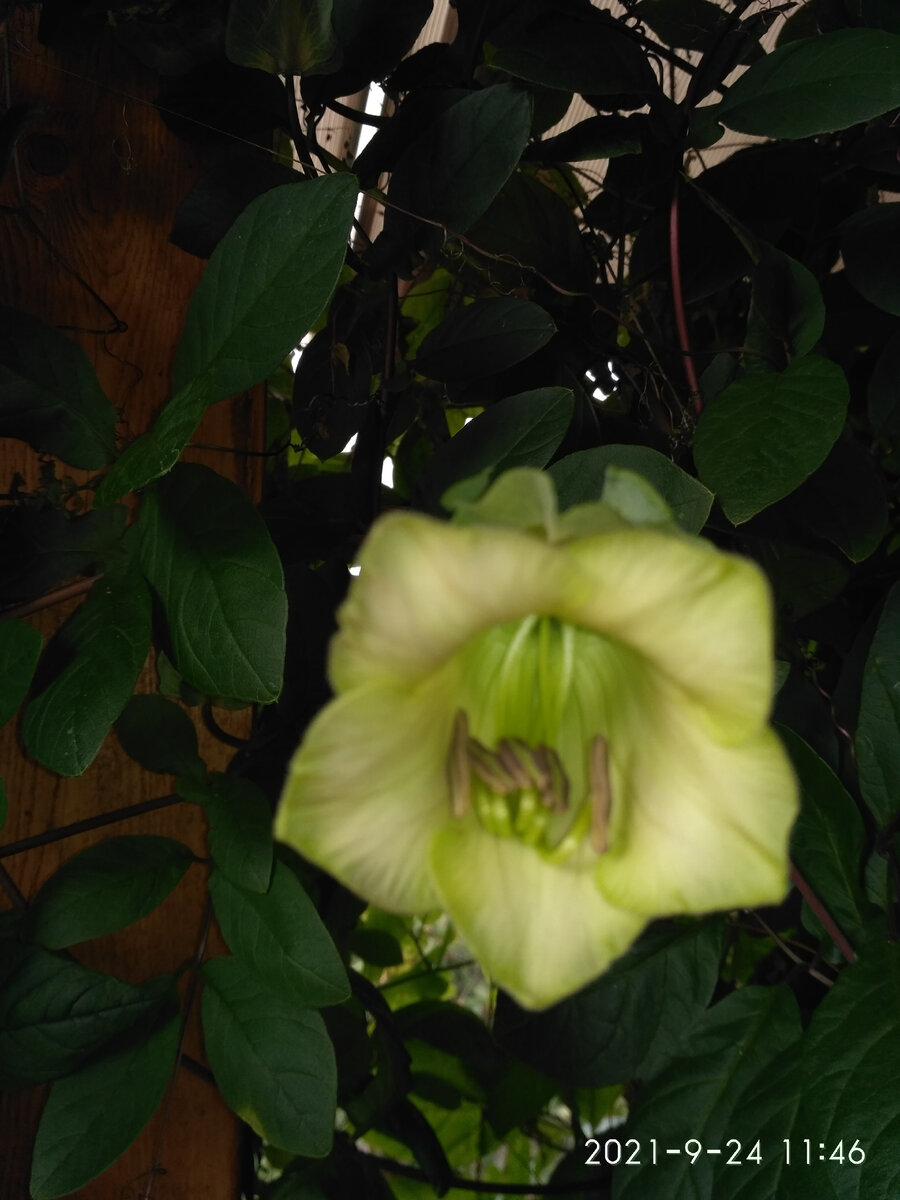 Фото из моего архива.