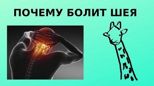 Почему болит шея